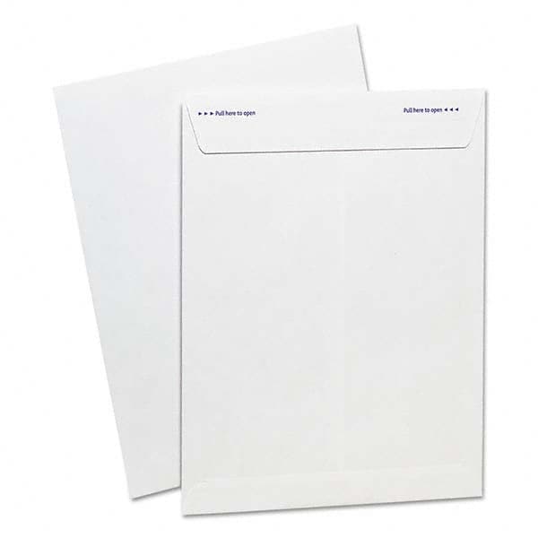 AMPAD - Mailers, Sheets & Envelopes Type: Catalog Envelope Style: Self Adhesive - Eagle Tool & Supply