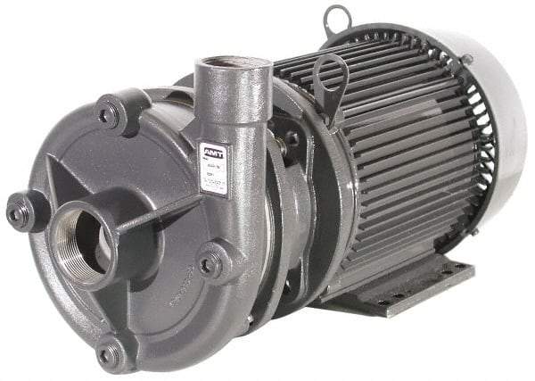 American Machine & Tool - 230/460 Volt, 3 Phase, 15 HP, Stainless Steel Straight Pump - 3 Inch Inlet, 2 Inch Outlet, Stainless Steel Impeller, Viton Seal - Eagle Tool & Supply