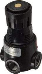 Wilkerson - 1/4 NPT Port, 15 CFM, Zinc Miniature Regulator - 2 to 125 psi Range, 300 Max psi Supply Pressure, 1/8" Gauge Port Thread, 1.65" Wide x 2.88" High - Eagle Tool & Supply