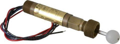 Dwyer - 1" Thread, 1,000 Max psi, 220°F Max, Liquid Level Float - 0.9 Float SG, Stainless Steel Stem - Eagle Tool & Supply