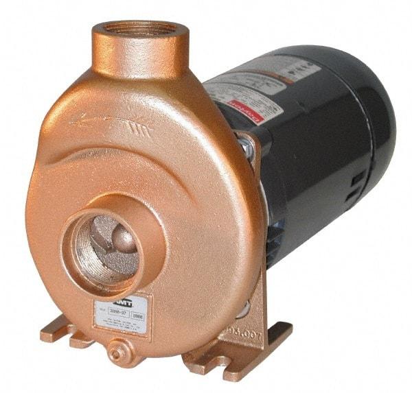 American Machine & Tool - 115/230 Volt, 13/ 7 Amp, 1 Phase, 3/4 HP, Self Priming Spa and Pool Pump - 56J Frame, 1-1/2 Inch Inlet, ODP Motor, Bronze Housing and Impeller, Buna N Seal - Eagle Tool & Supply