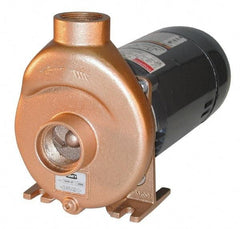 American Machine & Tool - 115/230 Volt, 10/5 Amp, 1 Phase, 1/2 HP, Self Priming Spa and Pool Pump - 56J Frame, 1-1/2 Inch Inlet, ODP Motor, Bronze Housing and Impeller, Buna N Seal - Eagle Tool & Supply