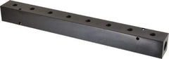 Made in USA - 3/8" Inlet, 1/8" Outlet Manifold - 12-1/4" Long x 1-1/4" Wide x 1-1/4" High, 0.2" Mount Hole, 2 Inlet Ports, 8 Outlet Ports - Eagle Tool & Supply