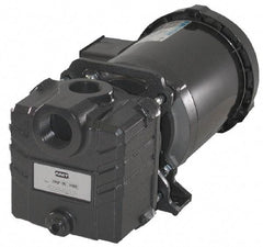 American Machine & Tool - 115/230 Volt, 1 Phase, 3/4 HP, Self Priming Centrifugal Pump - ODP Motor, Cast Iron Housing and Impeller, 65 Ft. Shut Off - Eagle Tool & Supply