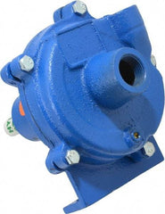 American Machine & Tool - 3/4 Inch Inlet, 1/2 Inch Outlet, Cast Iron, Pedestal Mount Pump - O Ring Casing Seal - Eagle Tool & Supply