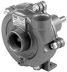 American Machine & Tool - 3/4 Inch Inlet, 1/2 Inch Outlet, Stainless Steel, Pedestal Mount Pump - O Ring Casing Seal - Eagle Tool & Supply