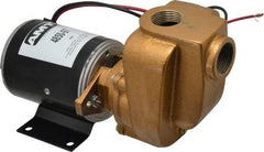 American Machine & Tool - 12 Volt, 1/8 hp, 3/4 Inlet, Bronze Utility Pump - 14 Max Head Pressure, 3/4 Inch Outlet - Eagle Tool & Supply
