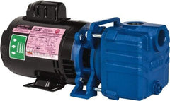 American Machine & Tool - 1/2 hp, 1.00 Inlet, 38 GPM Aluminum Utility Pump - 57 Max Head Pressure, 1.00 Inch Outlet, 2280GPH - Eagle Tool & Supply