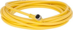 Brad Harrison - 3 Amp, M8 Female 90° to Pigtail Cordset Sensor and Receptacle - 60 VAC, 75 VDC, 5m Cable Length, IP67 Ingress Rating - Eagle Tool & Supply