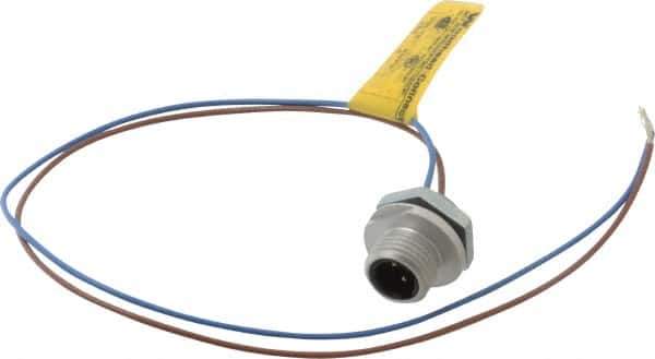 Brad Harrison - 4 Amp, 1/2-20 UNF Male Straight Receptacle - 250 VAC/VDC, 0.31m Cable Length, IP67 Ingress Rating - Eagle Tool & Supply