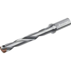 Walter - Replaceable-Tip Drills Series: D4140 Minimum Drill Diameter (mm): 31.00 - Eagle Tool & Supply