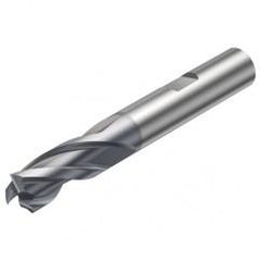 1P251-1000-XB 1630 10mm FL Straight Center Cut w/Weldon Shank - Eagle Tool & Supply