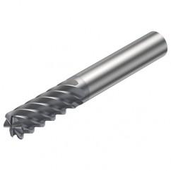 R215.26-10050DAC22H 1610 10mm 6 FL Solid Carbide End Mill - Corner Radius w/Cylindrical Shank - Eagle Tool & Supply