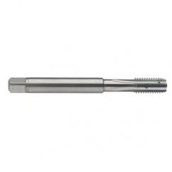 M10 x 1.5 Dia. - 6H - 4 FL - Carbide Semi-Bott Tap - Bright Finish-Coolant-Thru-FORM-C - Eagle Tool & Supply