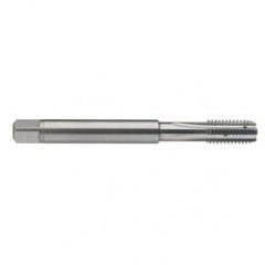 M10 x 1.5 Dia. - 6H - 4 FL - Carbide Semi-Bott Tap - Bright Finish-Coolant-Thru-FORM-C - Eagle Tool & Supply