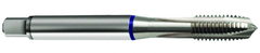 3/8-16 Dia. - 2B - 4 FL - Cobalt Semi-Bott White Ring Tap - Blk-Ox FORM-C DIN 371 - Eagle Tool & Supply