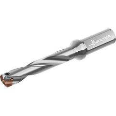 Walter - 25 to 25.99mm Diam, 5xD, 166mm Max Depth, 25mm Shank Diam, 227mm OAL, Replaceable Tip Drill - P6001-D25..R, P6003-D25..R, P6004-D25..R, P6005-D25..R Insert, D4140 Toolholder, Series D4140 - Eagle Tool & Supply