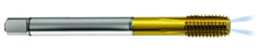 M14 x 2.00 Dia. - 6HX - 5 FL - PM Cobalt Semi-Bott Tap-TiN-Coolant-Thru-FORM-C DIN 376 - Eagle Tool & Supply