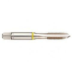 40002 2B 4-Flute Cobalt Yellow Ring Spiral Point Plug Tap-Bright - Eagle Tool & Supply