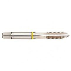 41168 2B 3-Flute Cobalt Yellow Ring Spiral Point Plug Tap-Bright - Eagle Tool & Supply