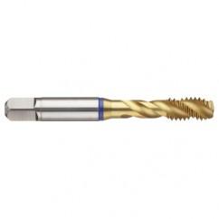 12-28 2B 3-Flute PM Cobalt Blue Ring Semi-Bottoming 40 degree Spiral Flute Tap-TiN - Eagle Tool & Supply