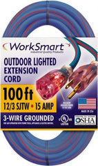 Value Collection - 100', 12/3 Gauge/Conductors, Blue/Red Outdoor Extension Cord - 1 Receptacle, 15 Amps, UL SJTW, NEMA 5-15P - Eagle Tool & Supply