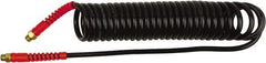 PRO-SOURCE - 1/4" ID, 1/4 Thread, 5' Long, Black Polyurethane Coiled & Self Storing Hose - 145 Max psi, Male Swivel x Male Swivel - Eagle Tool & Supply