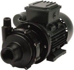 Finish Thompson - Permanent Split Cap Motor, 115 Volt, 1.55 Amp, 1 Phase, 1/8 HP, 3500 RPM, Carbon Filled PVDF Straight Pump - 1 Inch Inlet, 1/2 Inch Outlet, 8.7 Max Head psi, Carbon Filled PVDF Impeller, Ceramic Shaft, FKM Seal - Eagle Tool & Supply