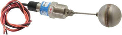 Thomas Products Ltd. - 1" Thread, 900 Max psi, 300°F Max, Liquid Level Side Mounted Float Switches - SST Stem - Eagle Tool & Supply