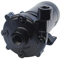 Pentair - ODP Motor, 208-230/460 Volt, 3 Phase, 1/2 HP, Cast Iron Straight Pump - 1-1/4 Inch Inlet, 1 Inch Outlet, 82 Max Head psi, Bronze Impeller, Cast Iron Shaft, Viton Seal, 82 Ft. Shut Off - Eagle Tool & Supply