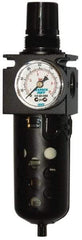 Warren Rupp - 1/4" Pump, Diaphragm Pump Repair Kit - For Use with Diaphragm Pumps - Eagle Tool & Supply