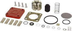 Tuthill - Repair Part Kit - For Use with Diaphragm Pumps - Eagle Tool & Supply