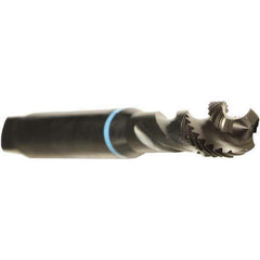 Emuge - M2.5x0.45 Metric 2 Flute 6H Modified Bottoming Spiral Flute Tap - Cobalt, Oxide Finish, 50mm OAL, Right Hand Flute, Right Hand Thread, Series Enorm - Exact Industrial Supply