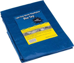 Value Collection - 16' Long x 12' Wide Polyethylene Tarp & Dust Cover - Blue, Grommet - Eagle Tool & Supply