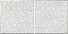 Armstrong World - 48" Long x 24" Wide, Wet-Formed Mineral Fiber Acoustic Ceiling Tile - ASTM E1264 Specification, White - Eagle Tool & Supply
