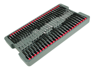 51PC PRECISION DRIVERS TRAY SET - Eagle Tool & Supply