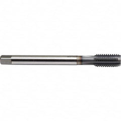 Emuge - M20x1.50 Metric Fine 6H 0 Flute TiCN Finish Powdered Metal Machine Tap - Eagle Tool & Supply