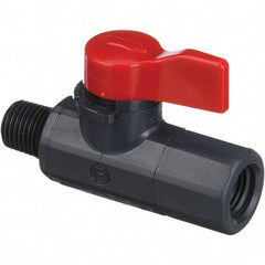 Asahi/America - 1/4" Pipe, Full Port, PVC Ball Valve - 1 Piece, MNPT x FNPT Ends, Tee Handle, 150 WOG - Eagle Tool & Supply