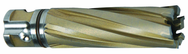 11/16 X 1 CARBIDE CUTTER - Eagle Tool & Supply