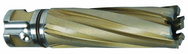 41MM X 50MM CARBIDE CUTTER - Eagle Tool & Supply