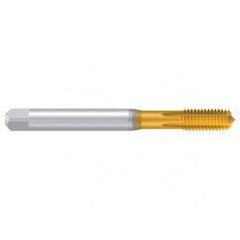 5–44 UNF–2B REK.1DRS-OLN TiN Thread Forming Tap - Eagle Tool & Supply