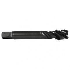 M14X2.0 3FL 6H CO SPFL TAP-S/O - Eagle Tool & Supply