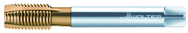 P21519-M6X0.75 PARADUR XPERT P - Eagle Tool & Supply