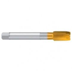 M20X1.5-ISO2/6H REK.2B TiN Sprial Point Tap - Eagle Tool & Supply