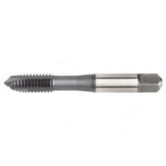 VTSPO5619 M5X0 8 D4 3FL SP PLUGHSS- - Eagle Tool & Supply