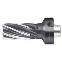 F1682.N8.063.Z06.100.P - Eagle Tool & Supply